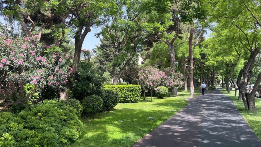 Satılır 3 otaqlı köhnə tikili, 85 m², Gənclik m.-14
