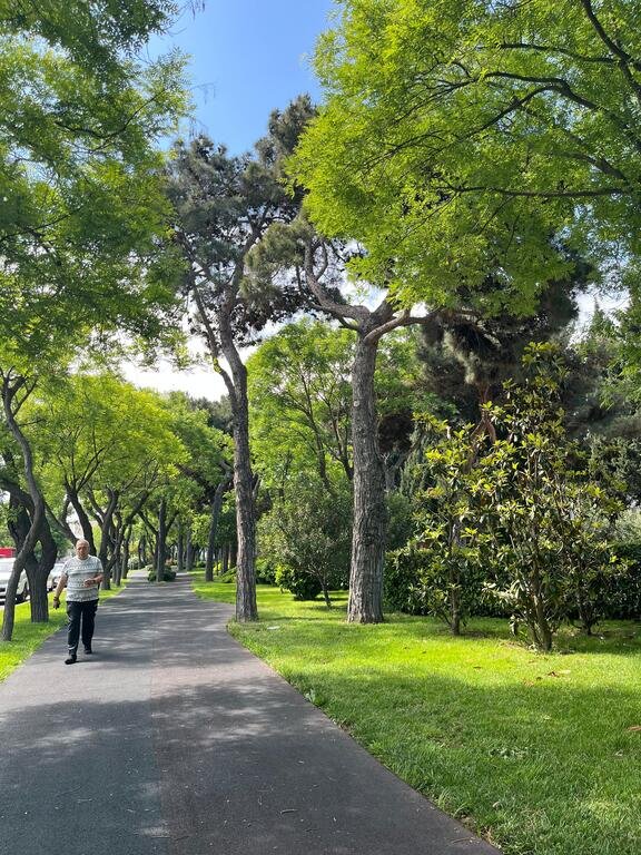 Satılır 3 otaqlı köhnə tikili, 85 m², Gənclik m.-15