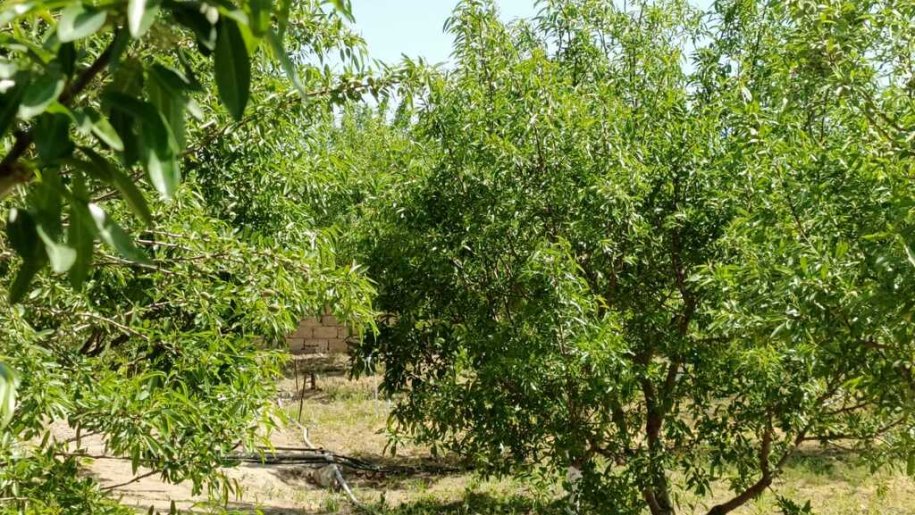 12 sot torpaq satılır, Maştağa-3