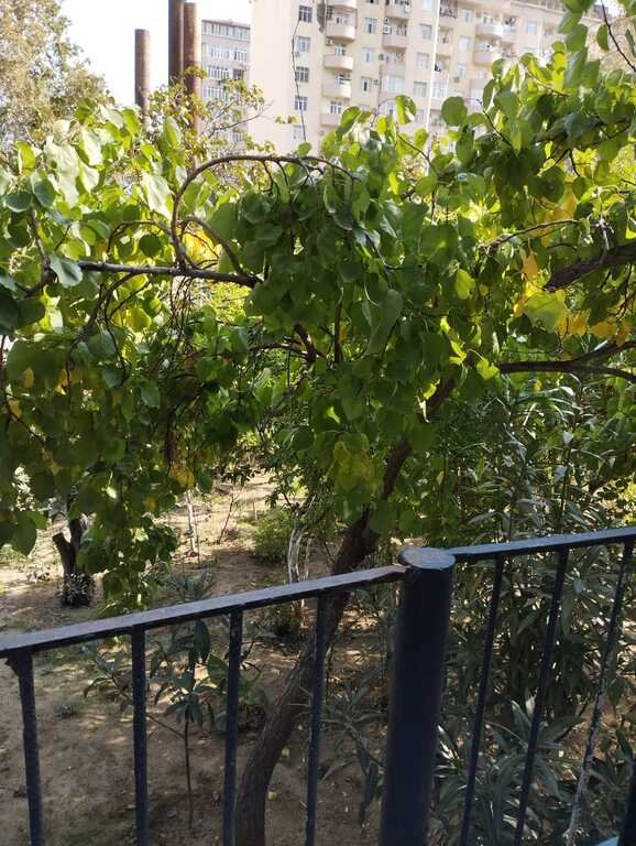 Kirayə verilir 4 otaqlı köhnə tikili, 110 m², İnşaatçılar m.-18