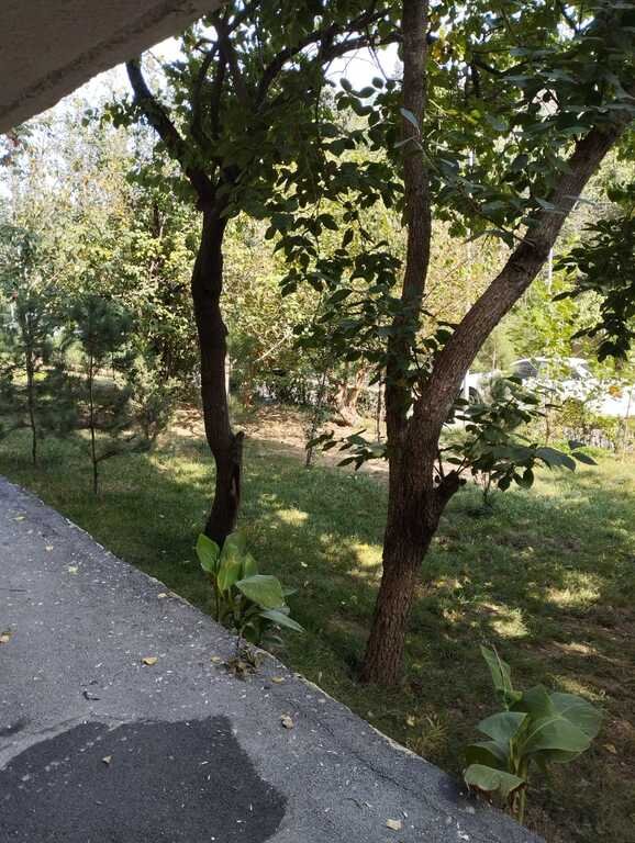 Kirayə verilir 4 otaqlı köhnə tikili, 110 m², İnşaatçılar m.-21