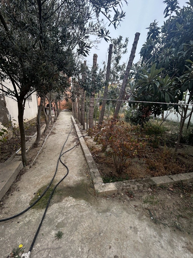 5 sot torpaq satılır, Badamdar-1