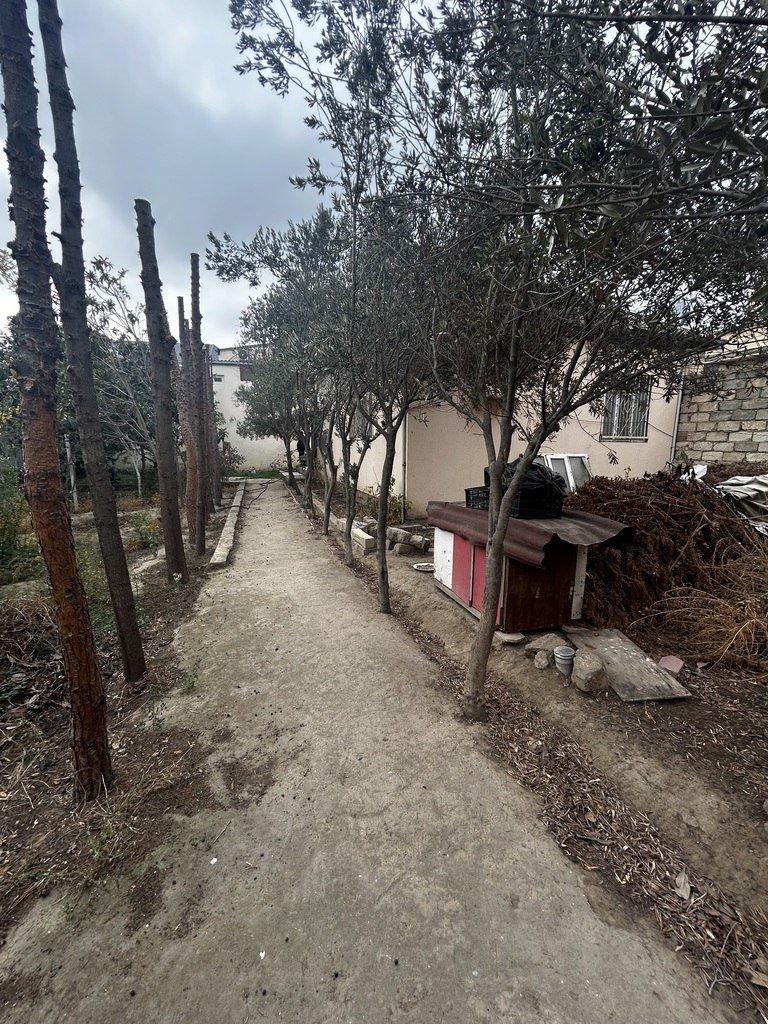 5 sot torpaq satılır, Badamdar-2