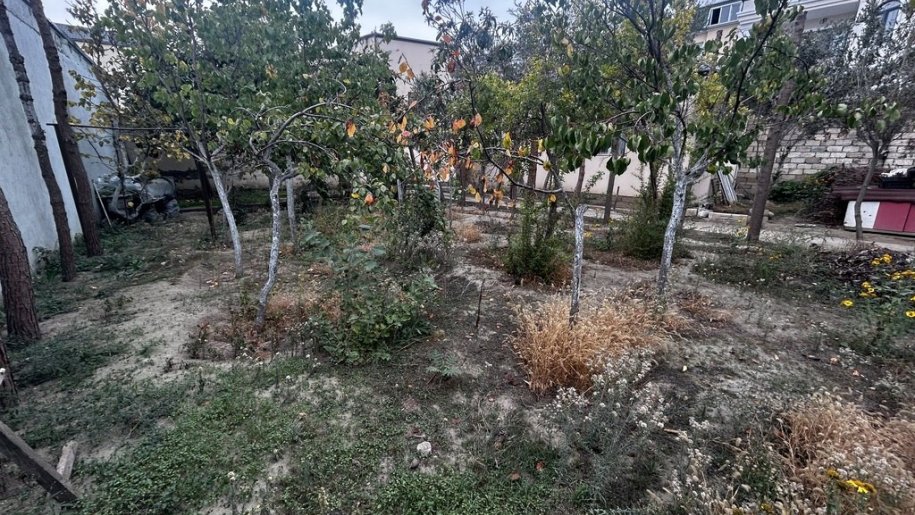 5 sot torpaq satılır, Badamdar-4
