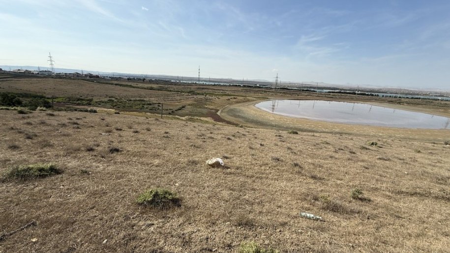 12 sot torpaq satılır, Saray-1