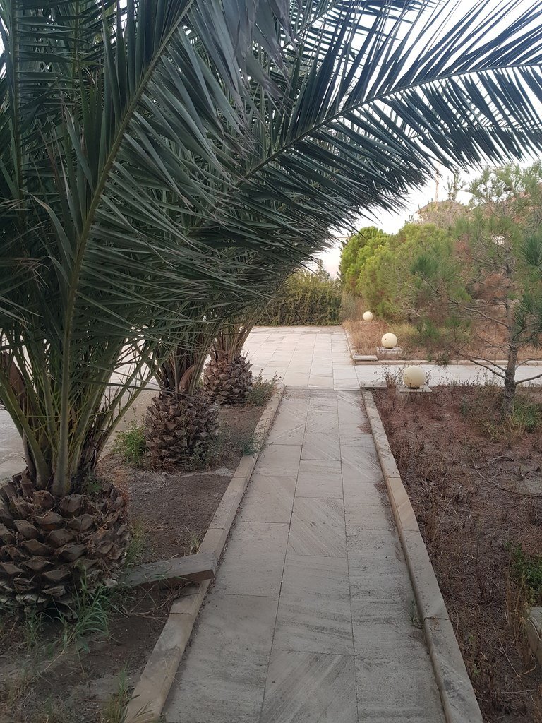 25 sot torpaq satılır, Şüvəlan-2