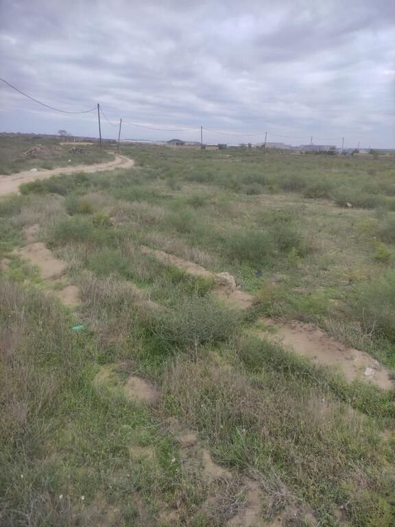 25 sot torpaq satılır, Nardaran-3