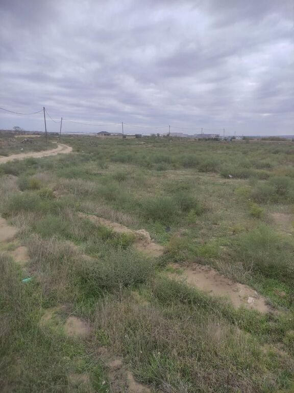 25 sot torpaq satılır, Nardaran-4