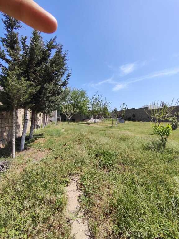 12 sot torpaq satılır, Nardaran-1