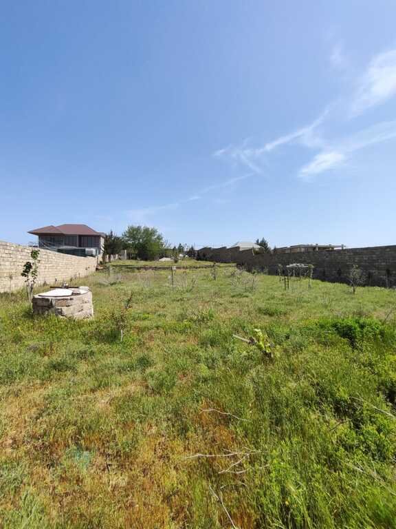 12 sot torpaq satılır, Nardaran-4