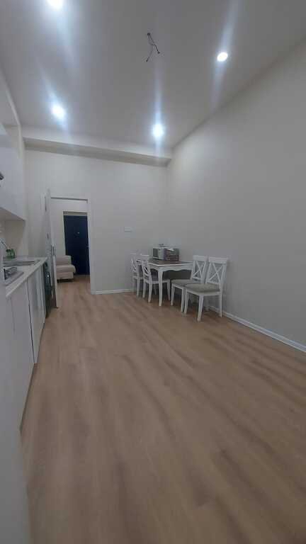 Kirayə verilir 3 otaqlı yeni tikili, 120 m², Nəriman Nərimanov m.-12