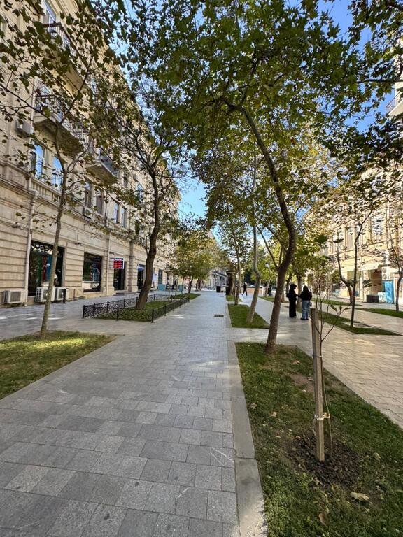 Kirayə verilir 3 otaqlı köhnə tikili, 100 m², Sahil m.-2