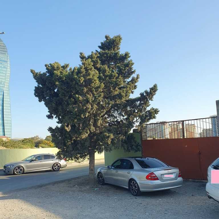 32 sot torpaq satılır, Ulduz m.-8