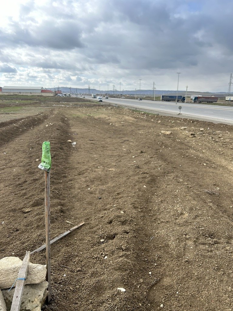6 sot torpaq satılır, Saray-5