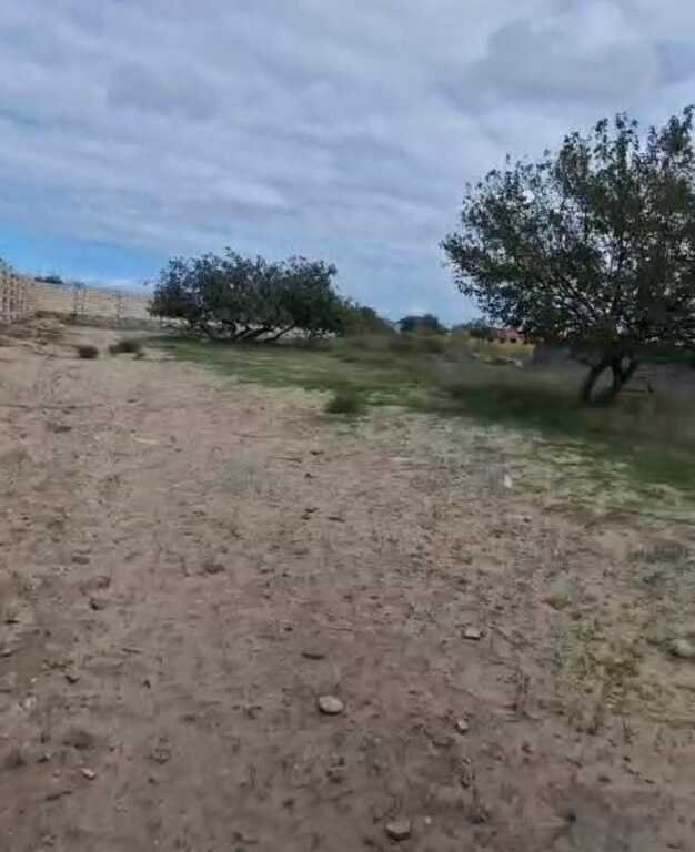 37 sot torpaq satılır, Nardaran-3