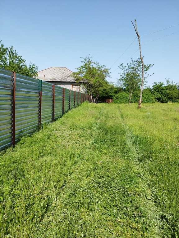 45 sot torpaq satılır, Qəbələ-1