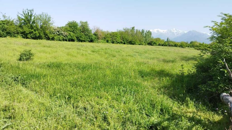 45 sot torpaq satılır, Qəbələ-2