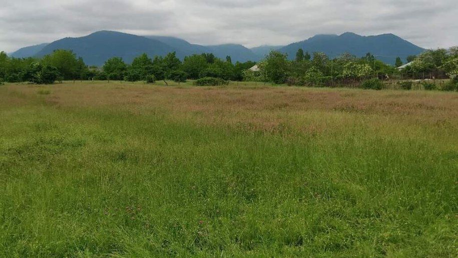 45 sot torpaq satılır, Qəbələ-3