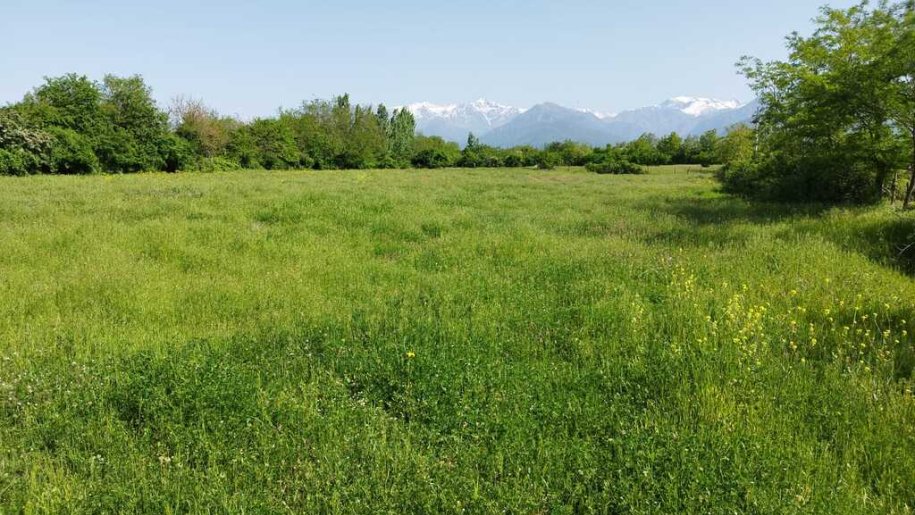 45 sot torpaq satılır, Qəbələ-4