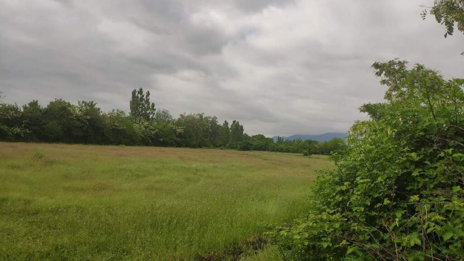 45 sot torpaq satılır, Qəbələ-9