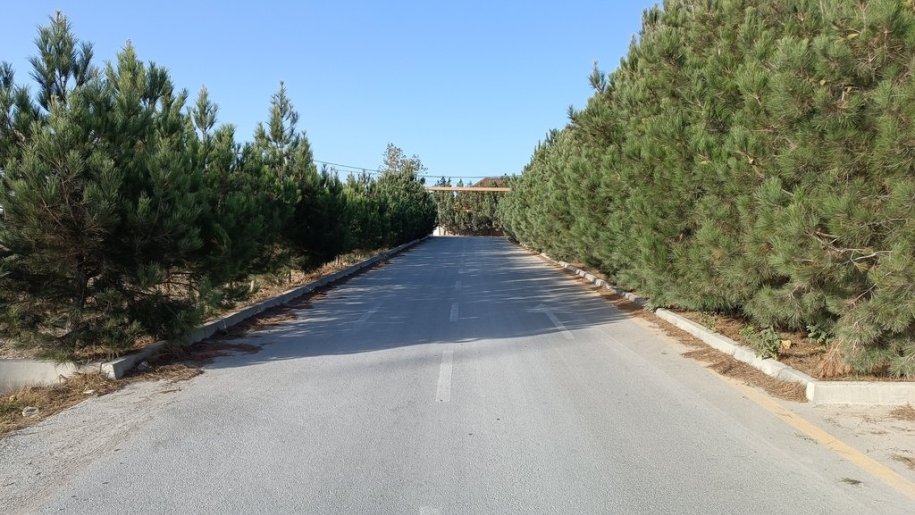 45 sot torpaq satılır, Dübəndi-2