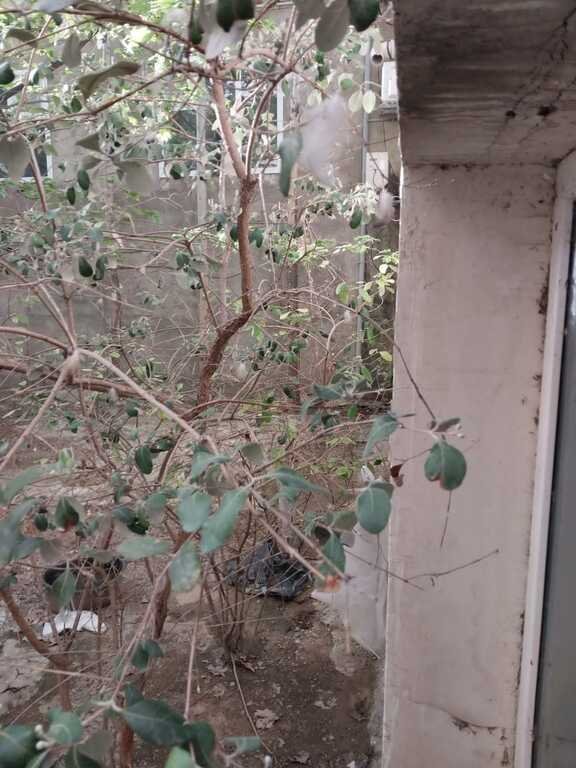 Satılır 9 otaqlı köhnə tikili, 400 m², Sahil m.-20