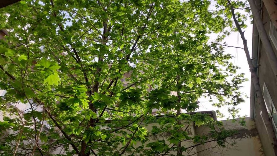 Satılır 9 otaqlı köhnə tikili, 400 m², Sahil m.-21