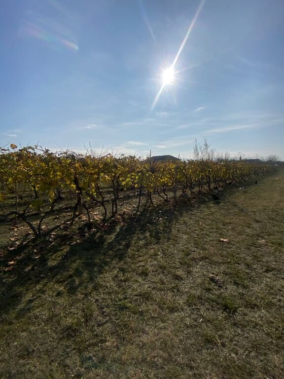 700 sot torpaq satılır, Novxanı-2