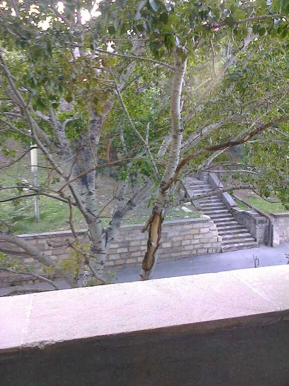 Kirayə verilir 2 otaqlı köhnə tikili, 64 m², İçərişəhər m.-9