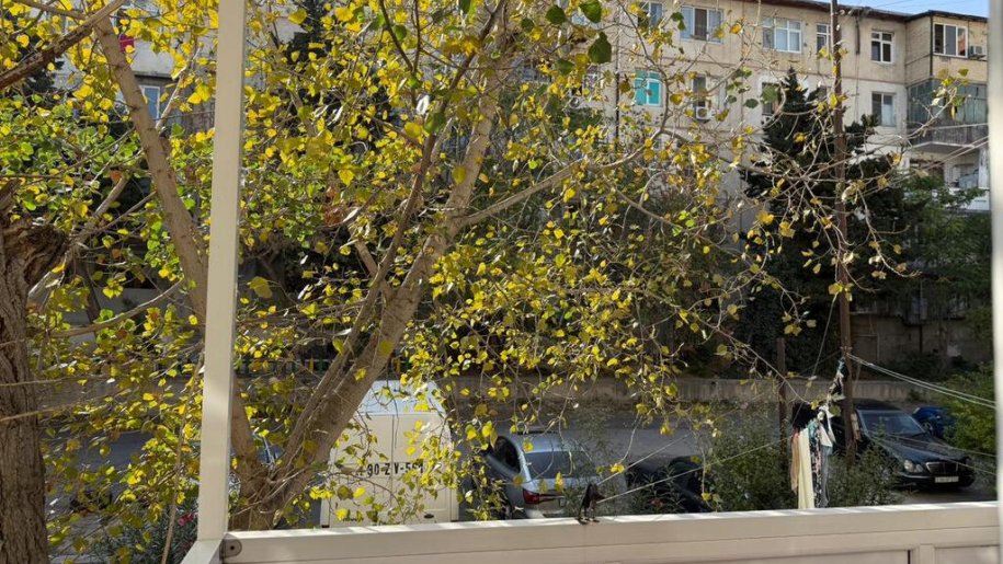 Satılır 3 otaqlı köhnə tikili, 65 m², İnşaatçılar m.-9