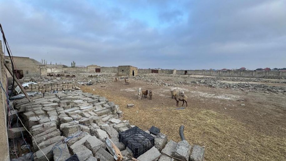 52 sot torpaq satılır, Məmmədli-17