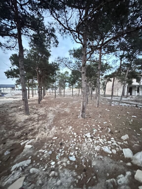 144 sot torpaq satılır, Xəzər-7