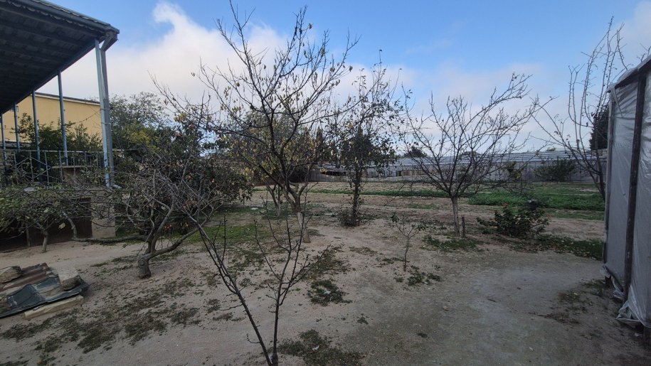 25 sot torpaq satılır, Bilgəh-2