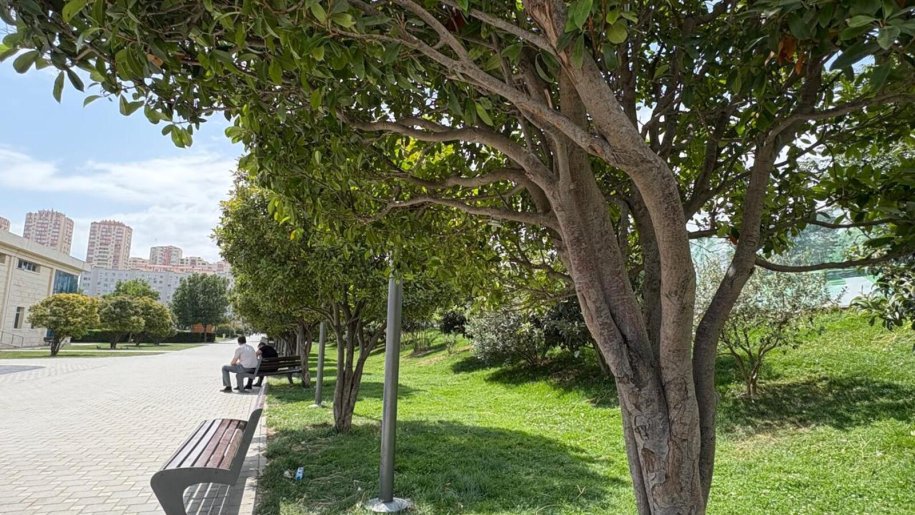 Satılır 2 otaqlı yeni tikili, 74 m², Elmlər Akademiyası m.-6