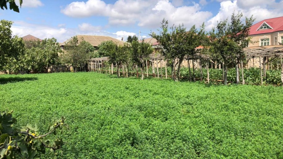 9.5 sot torpaq satılır, Maştağa-1