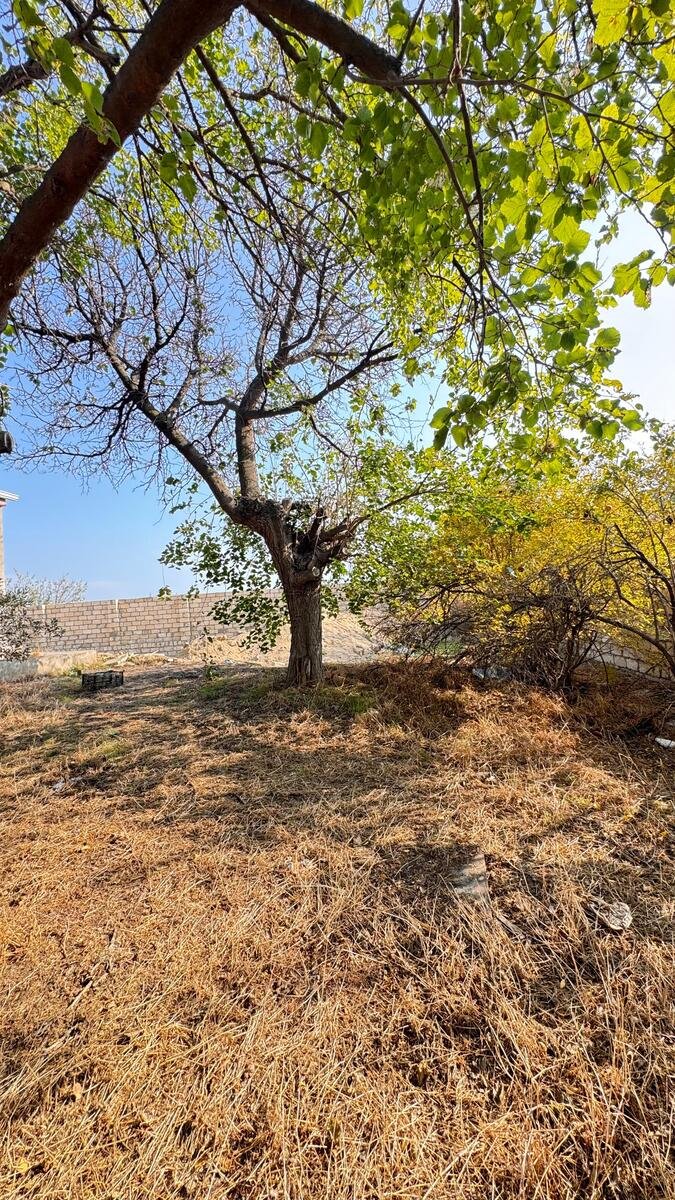 7 sot torpaq satılır, Novxanı-9