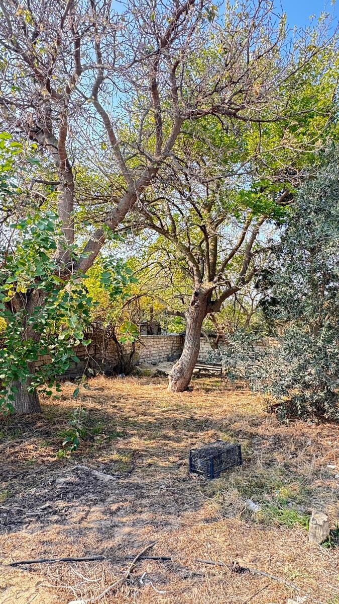 7 sot torpaq satılır, Novxanı-20