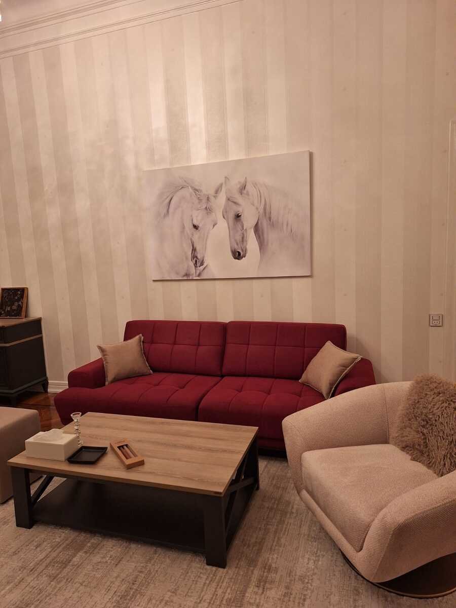 Kirayə verilir 2 otaqlı yeni tikili, 77 m², Sahil m.-3