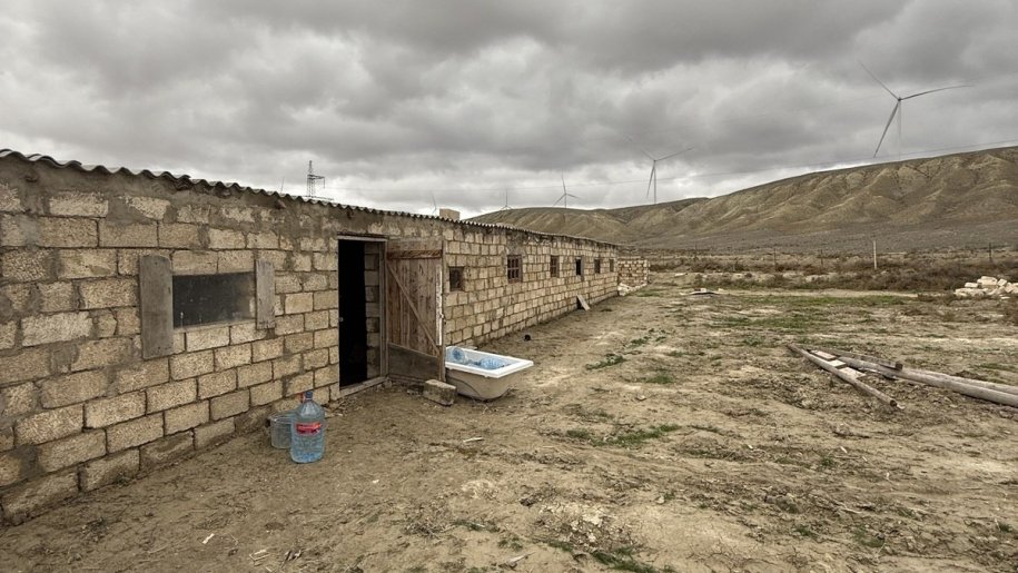 20 sot torpaq satılır, Pirəkəşkül-11