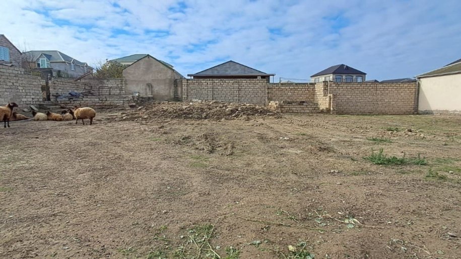 12 sot torpaq satılır, Şağan-5