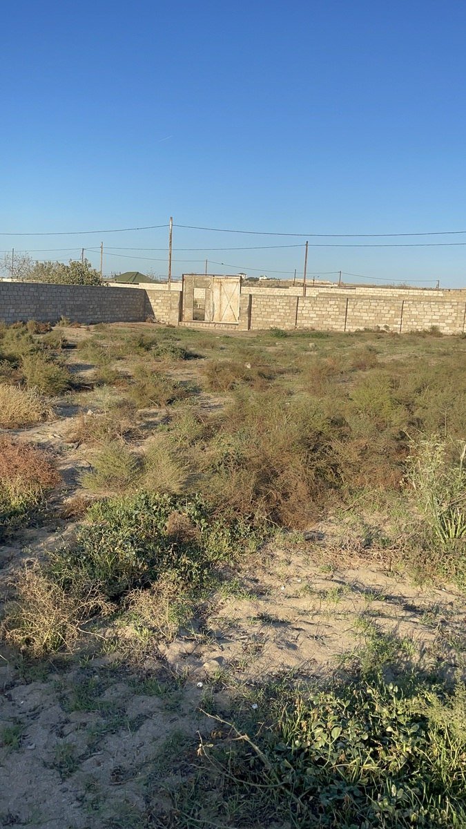 12 sot torpaq satılır, Nardaran-4