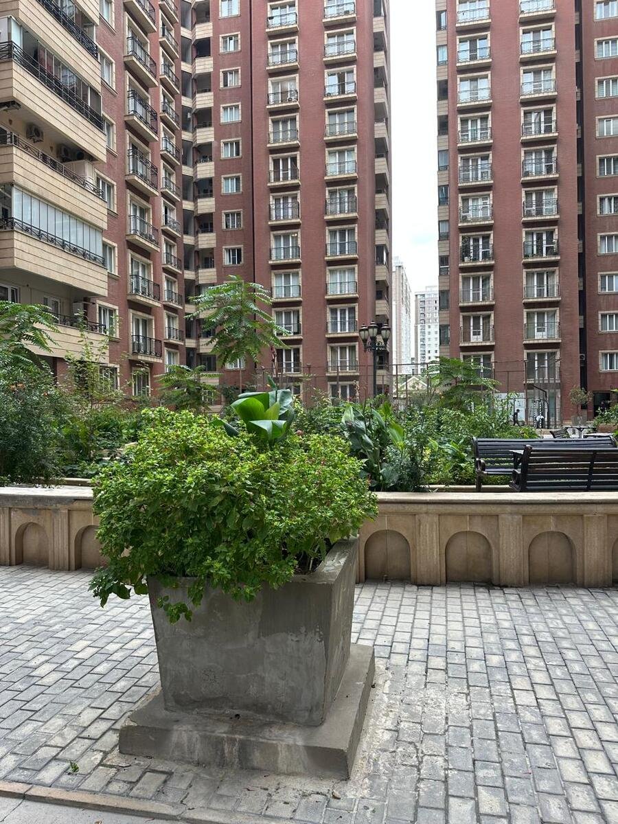 Satılır 5 otaqlı yeni tikili, 390 m², 28 May m.-19