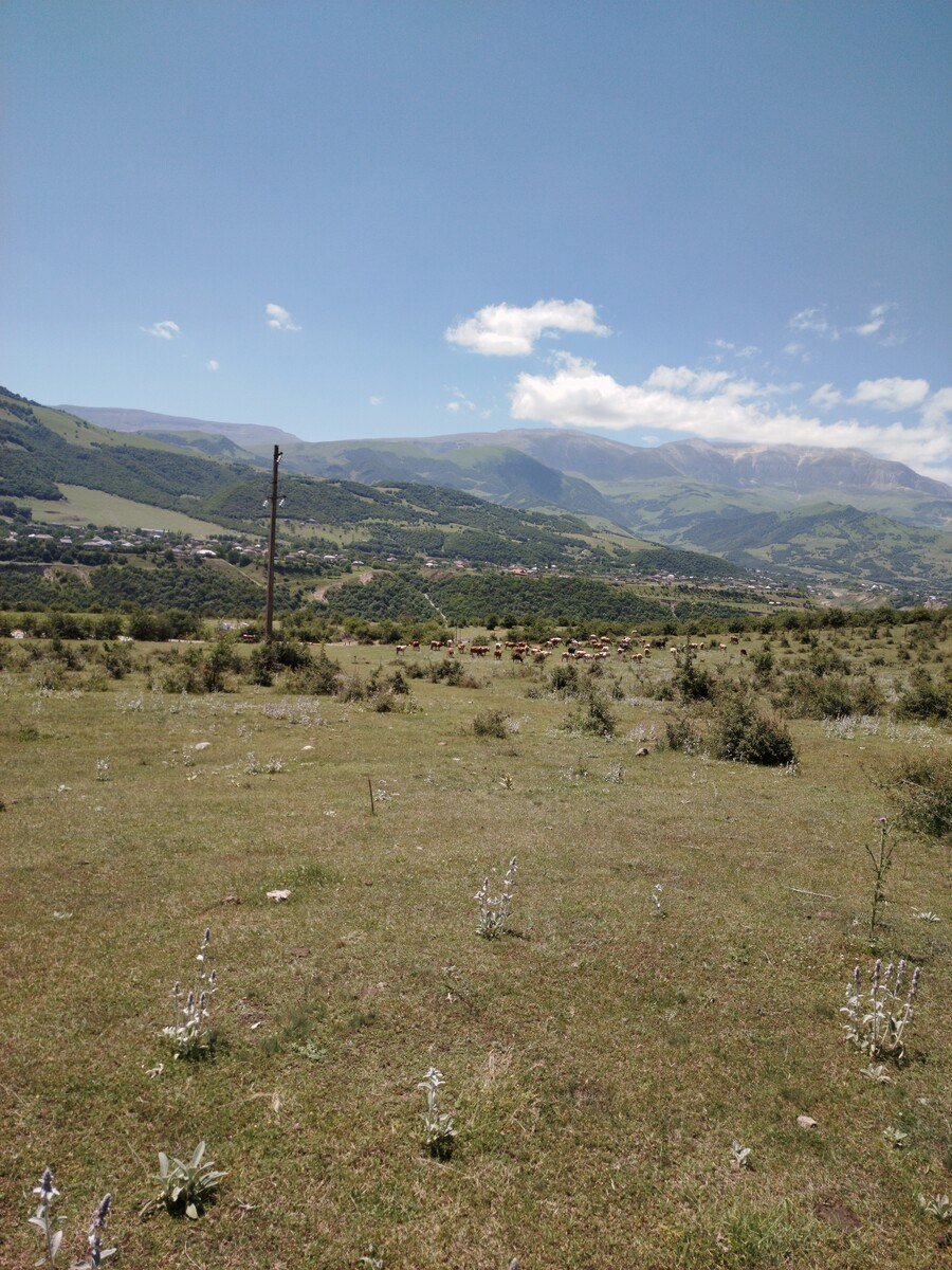 800 sot torpaq satılır, Qusar-5