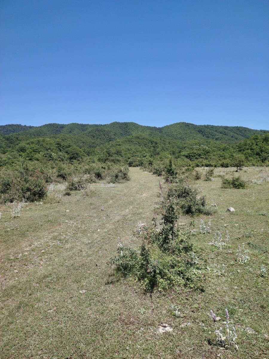 800 sot torpaq satılır, Qusar-7