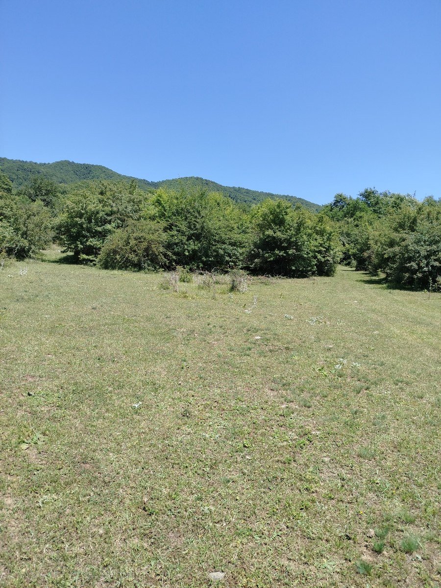 800 sot torpaq satılır, Qusar-11