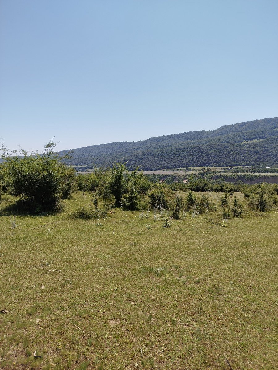 800 sot torpaq satılır, Qusar-13