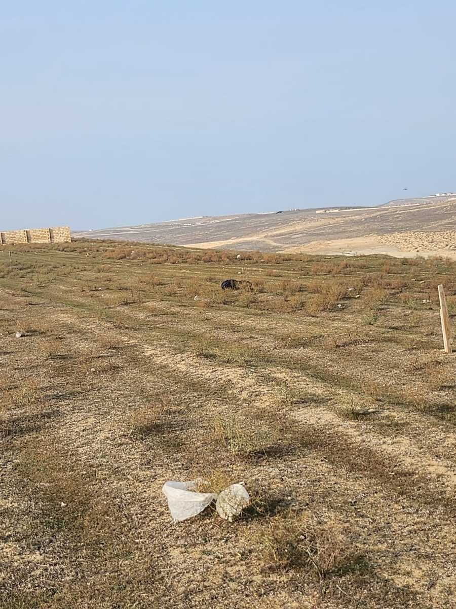 54 sot torpaq satılır, Mehdiabad-2