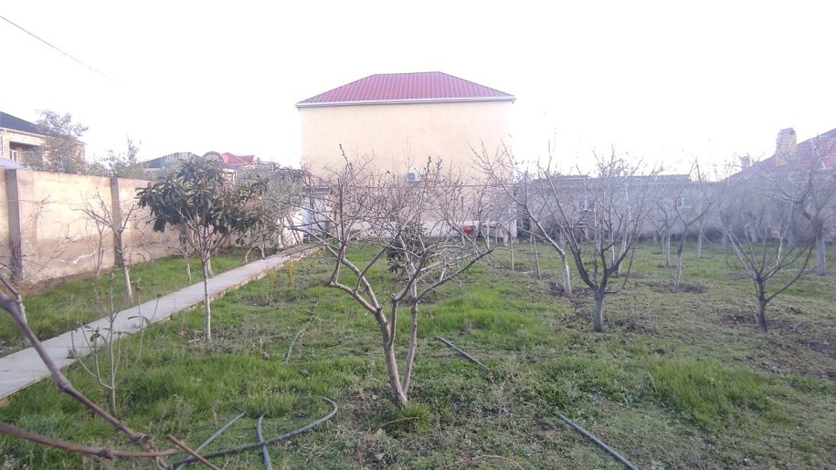 14 sot torpaq satılır, Məmmədli-7