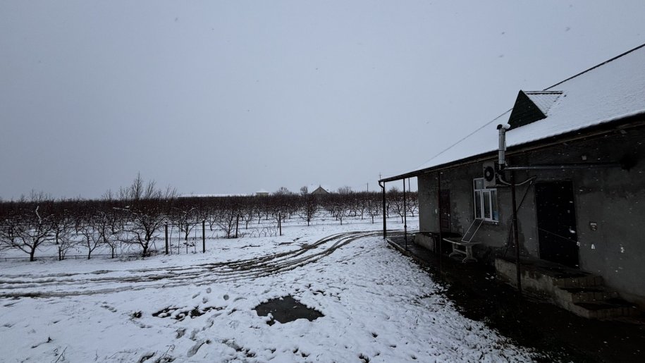 1400 sot torpaq satılır, Quba-3