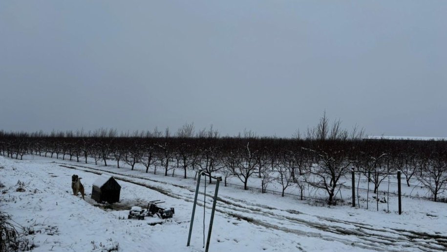 1400 sot torpaq satılır, Quba-10